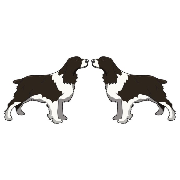 English Springer Spaniel Dog Decal, Dog Lover Decor Vinyl Sticker